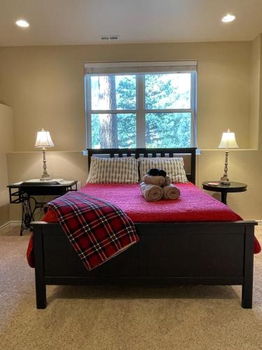 Perfect Pikes peak basecamp & spacious luxury in Cascade-Chipita Park, USA