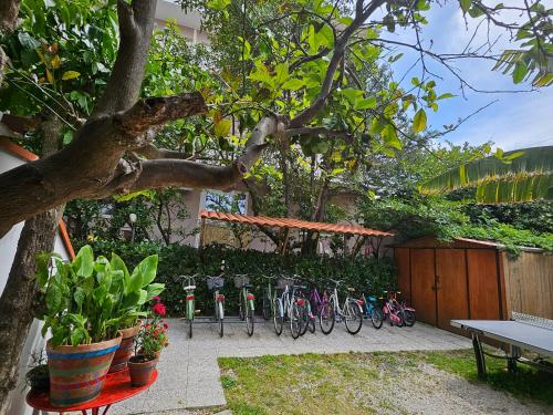 Hotel Cerrano - image 5