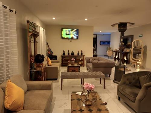 556053848 Hotel Danini