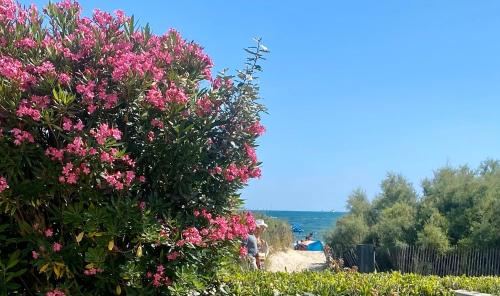 Bord de mer: soleil, plage et grande terrasse pour instants de détente (Wifi, clim)
