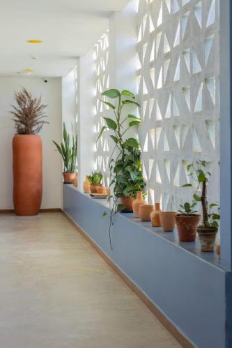 556064431 Villa Pantai Boutique Hotel Maragogi