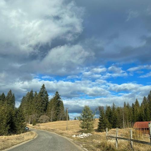 Vila Sara, Bajina Bašta (fotografie 4)