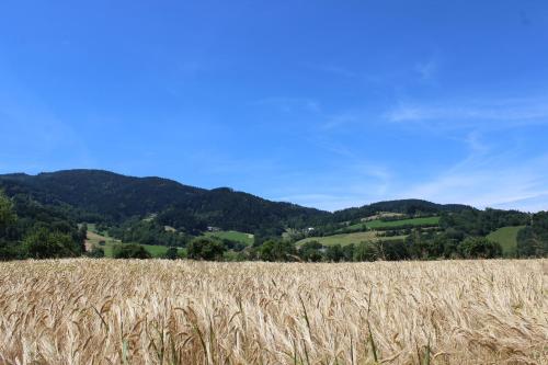 Landgasthof zum Schützen