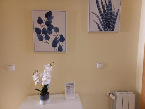 Barra Atlântica Apartment 2 - image 10