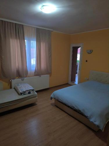 . PARISKA NOC