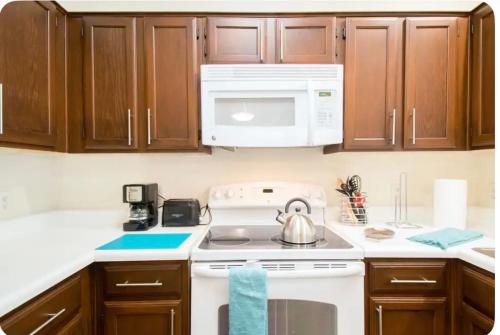Texas Medical Center 1 bed 1 bath entire apartment in Houston, USA