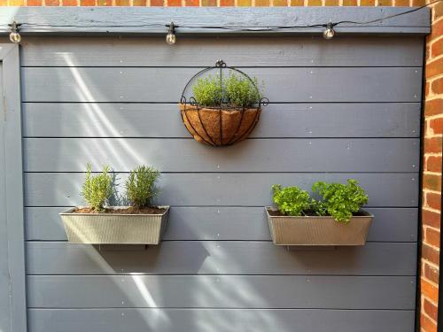 Poppyline Mews - Tap to explore photos