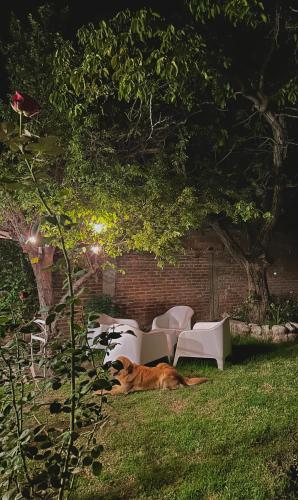 Casa Los Nogales in 카파야테-톨롬본