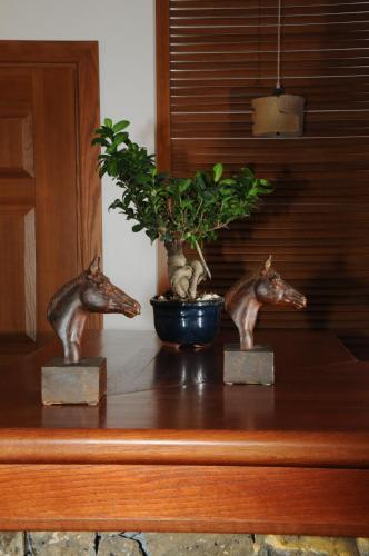 菲力酒店 菲力酒店