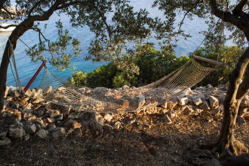 Secluded fisherman's cottage Cove Pakomina Hvar - 12702 - image 2