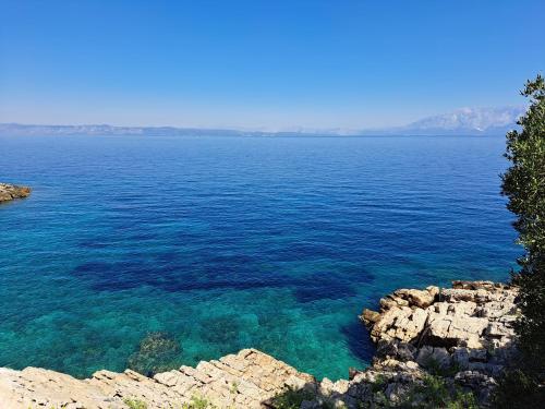 Secluded fisherman's cottage Cove Pakomina Hvar - 12702 - image 7