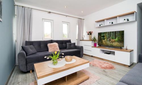 Arkadia Kadyny - Apartment