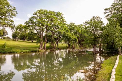 Unit 311 - The Cielo 1 Bed - Cation on the Guadalupe in New Braunfels, USA