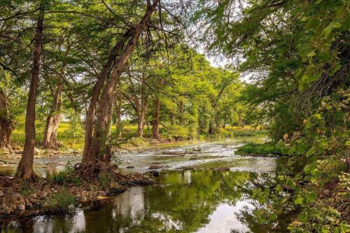 Unit 311 - The Cielo 1 Bed - Cation on the Guadalupe in New Braunfels, USA