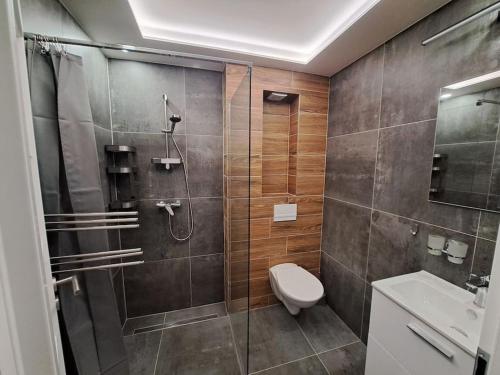 Zuhanyzó, Apartmán Moulis (Apartman Moulis) in Abertamy