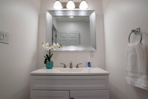Roomy 3BR & 2BR Apartments near Universities in Bloomington, USA