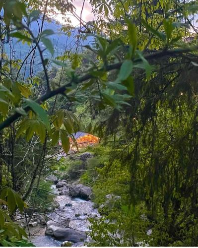 Mystic Vibes - Jibhi - Jibhi