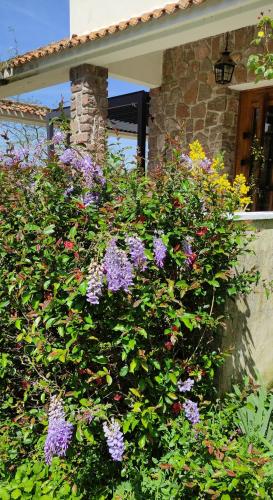 13 Bees - image 8