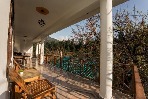 Hippie Panda in מנאלי