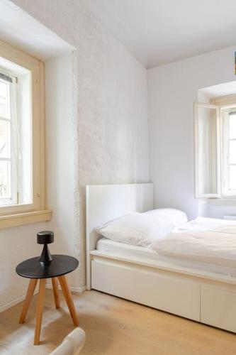 Artistic Studio Quiet Crusader Street Apartment, Lublaň (fotografie 7)