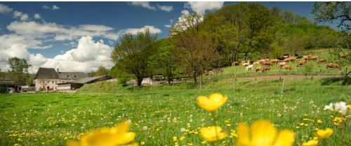 Zimmer auf dem Scheuerhof