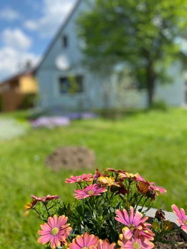 Apartmány U Jeřábků