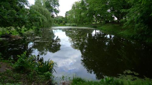 Apkārtne, Zamek Rynkowka in Rynkowka
