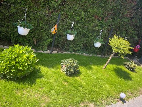 Kiscsillag Apartman