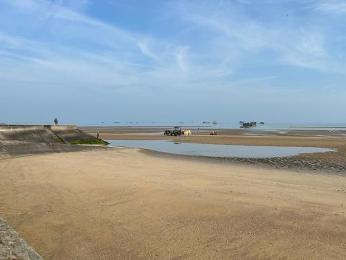 Sereine d'Argouges Sereine d'Argouges