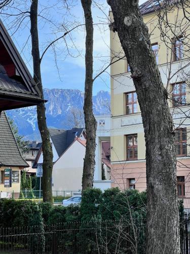 Willa Jasna Apartamenty centrum Zakopane, Zakopane (Foto 11)