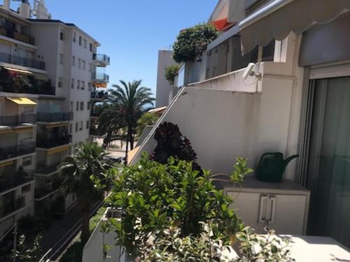 Appartement 2P Calme avec Piscine et Parking - Terrasse, Proche Plages et Centre de Menton - FR-1-196-239 - Location saisonnière - Menton