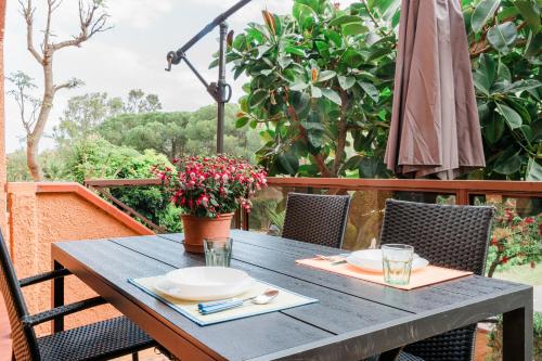 Stella Maris Holidays 3