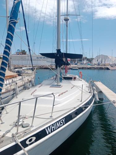 Velero Valencia Whimsy, Valencia