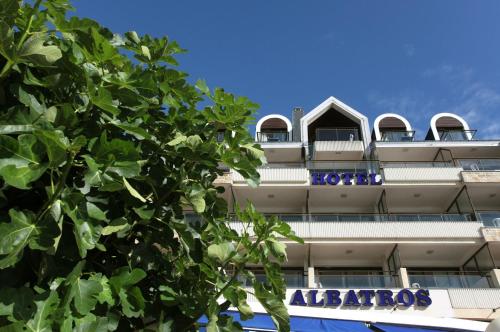 Albatros - image 3