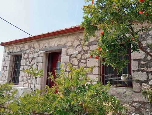 Mojo Art House in 卡納拉基