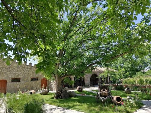 Γύρω περιβάλλον, Château Fort de Manavi, Boutique Hotel (Chateau Fort de Manavi, Boutique Hotel) in Sagarejo