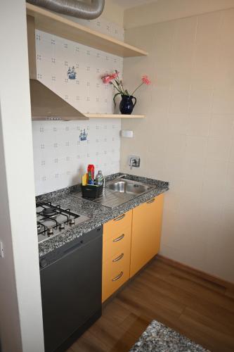 One-Bedroom Apartment (4 Adults) image 10