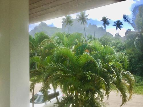 Studio entre lagon et montagne in นูนวย