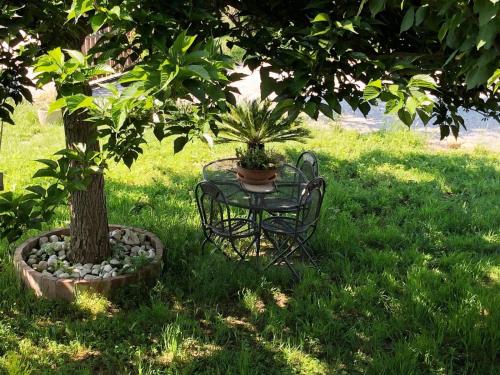  Appartamento il gelso in Castagneto Carducci