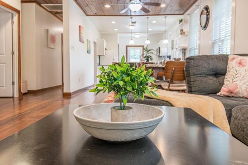 Free parking, Walk to Botanical Garden, PS4, Grill, Private fenced backyard, Pets allowed near San Antonio Állatkert