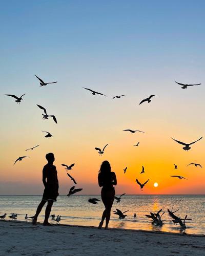 Foto - Casa Iguana Holbox - Beachfront Hotel