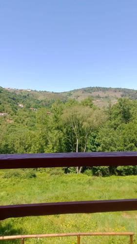 O Salgueiral O Salgueiral