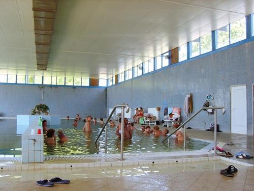 Peldbaseins, Csokonyavisontai Napsugar Vendeghaz in Csokonyavisonta