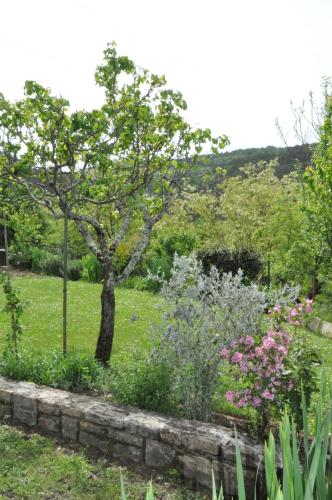 Guest House Most