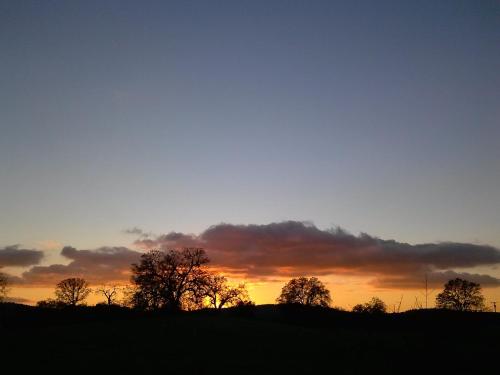 The Branded Calf Bed & Breakfast - image 8