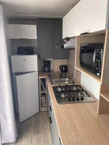 Charmant mobil home premium L048 - Camping - Narbonne