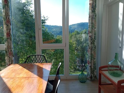 O Salgueiral O Salgueiral