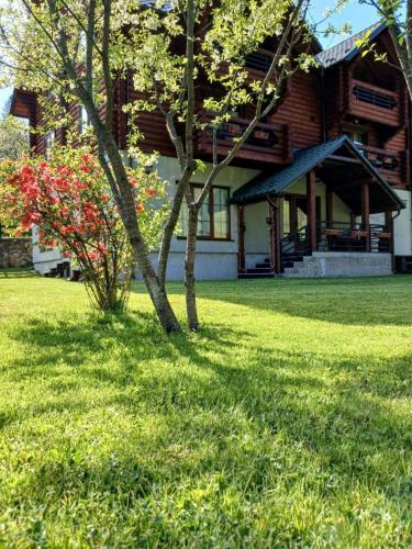 Viesnīcas āriene, "Лісова Казка" у Ворохті in Vorokhta