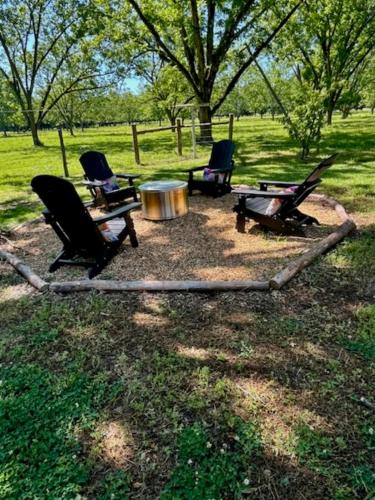 Relaxing farm retreat and cattle experience close to college golf and casinos