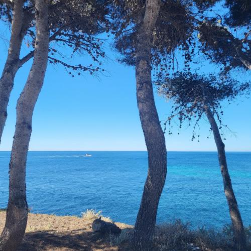 Port de Carry-Côte bleue - Apartment - Carry-le-Rouet